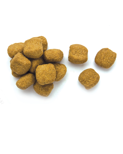 Hills t/d dog & cat food sold at Prairie View Animal Hospital Hills t/d dog & cat food sold at Prairie View Animal Hospital