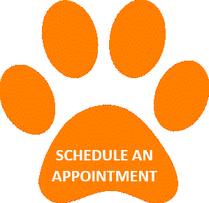 Schedule an appt button 