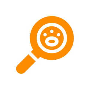 magnifying glass icon