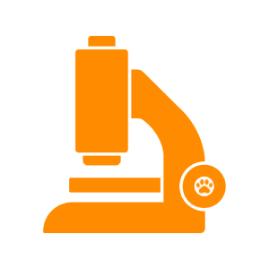 microscope icon