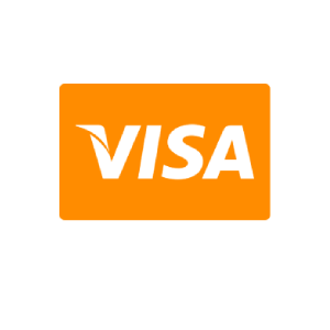 visa credit card icon