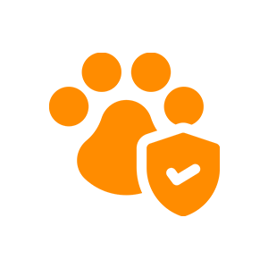 preventative icon orange