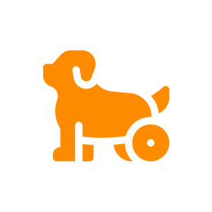 senior orange icon