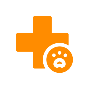 wellness icon orange