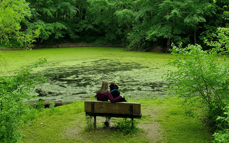 woman and dog sitting outdoors by a swampy lake woman and dog sitting outdoors by a swampy lake