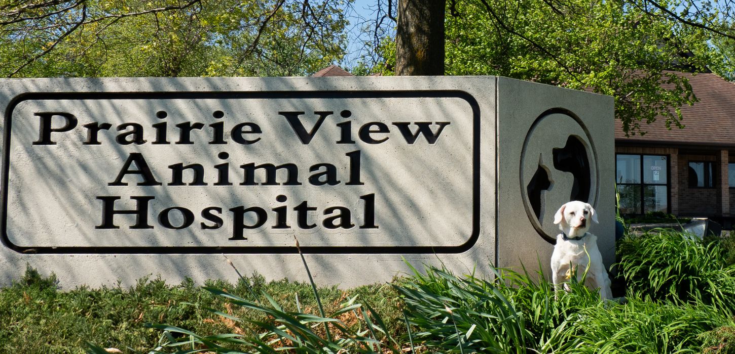 A sign for Prairie View Animal Hospital with a white dog sitting in front of it.