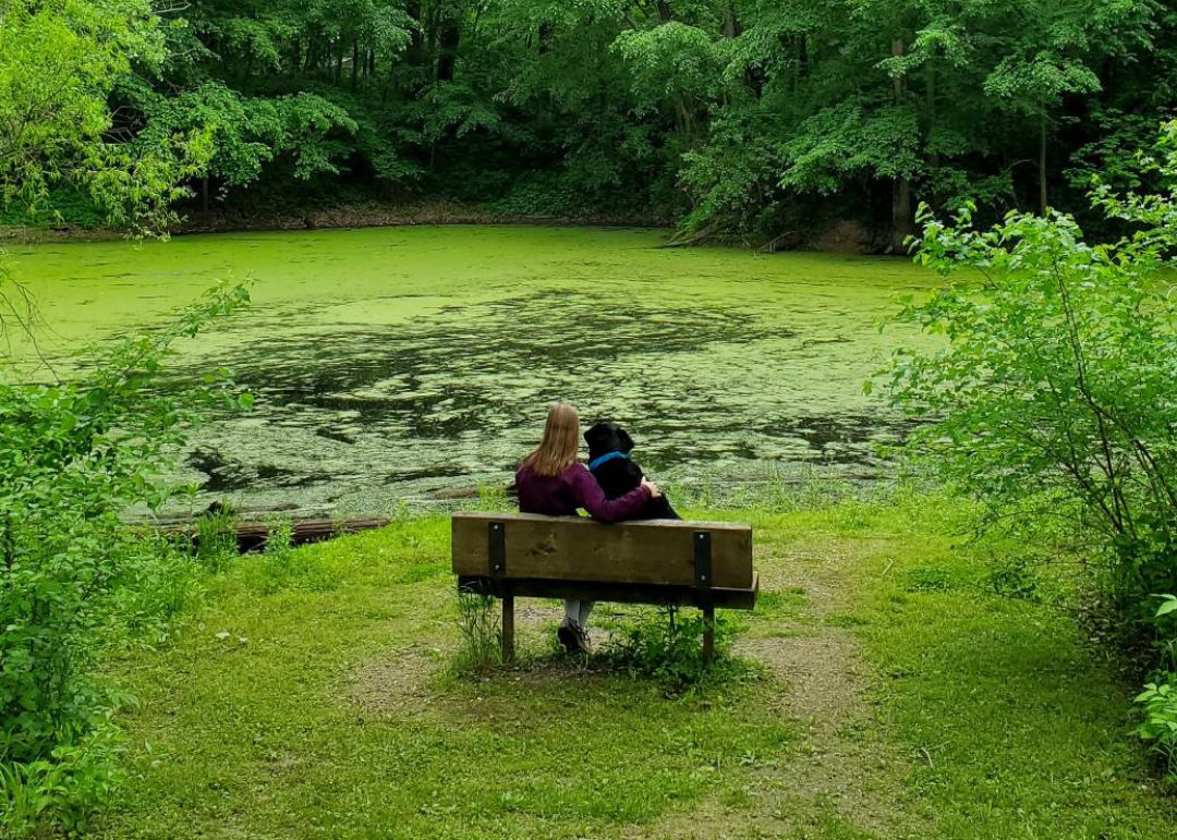 Woman dog pond naturep site