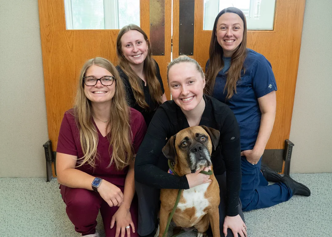 The team at Prairie View Animal Hospital with a boxer dog