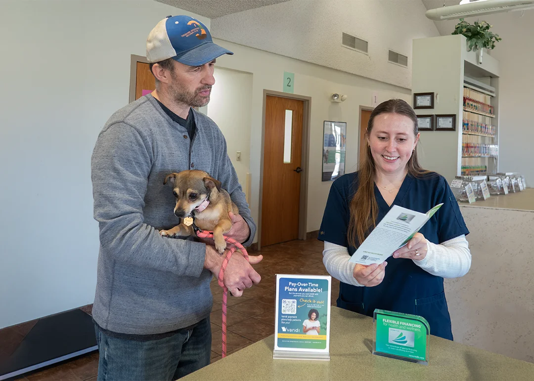 A veterinarian speaking with a dog owner about payment plans