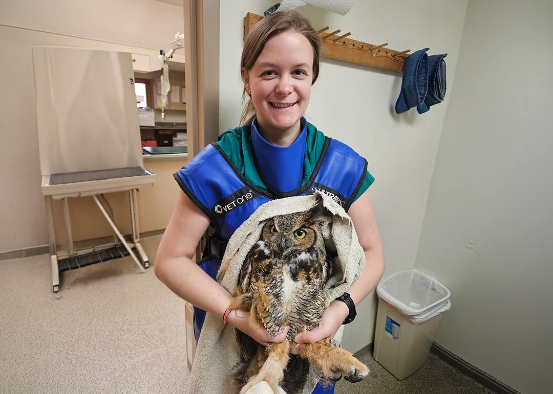 A veterinarian smiles while holding an owl