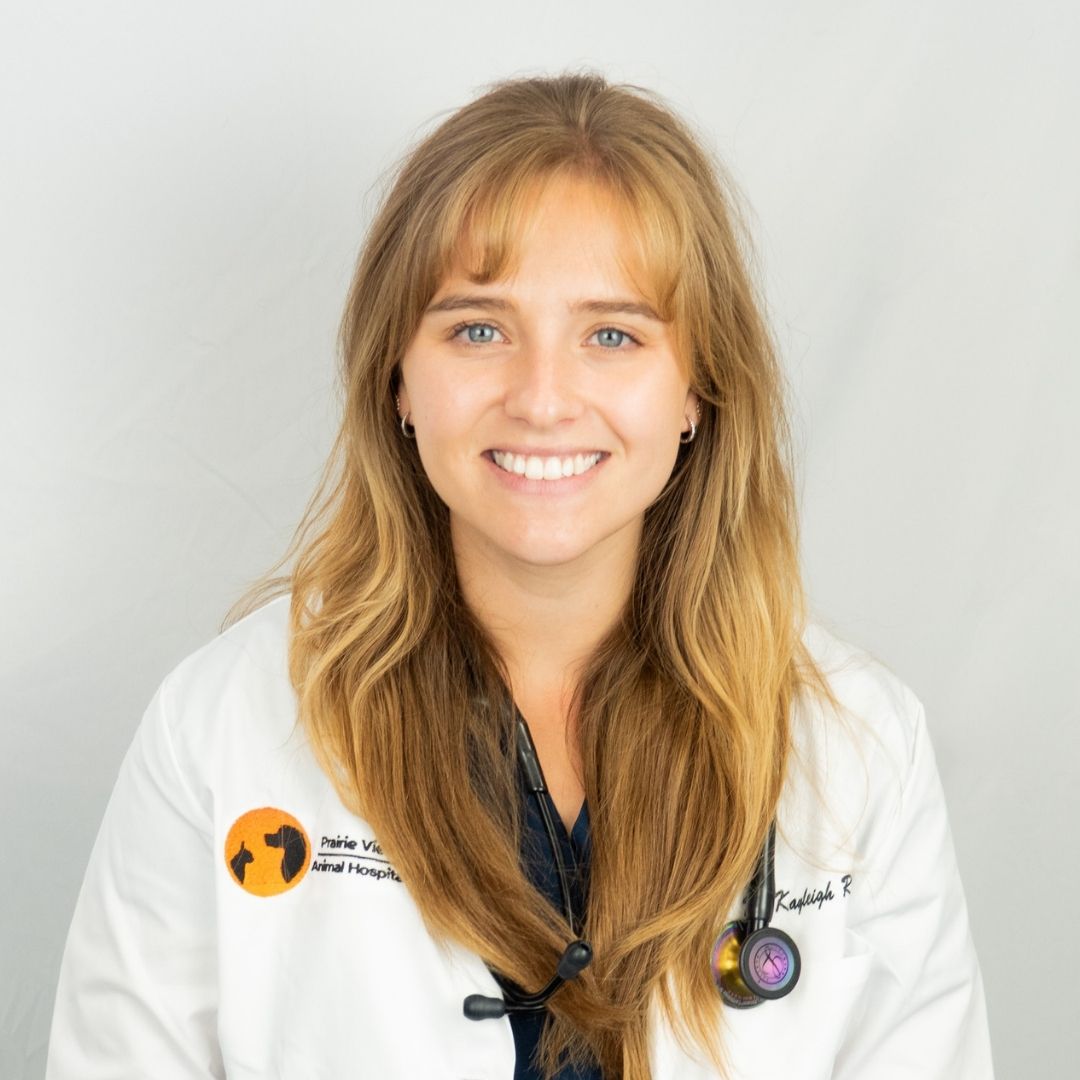 Smiling veterinarian in white coat